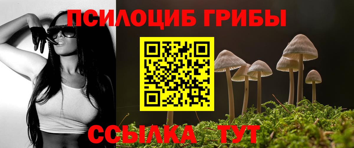 Слободской  Псилоцибиновые грибы прущие грибы  Вход с VPN 
