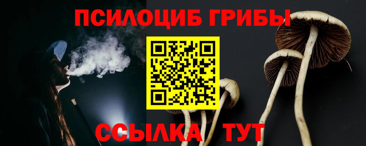 Псилоцибиновые грибы мицелий Слободской